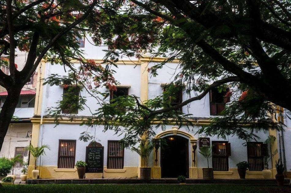 The historic facade framed by flame trees
